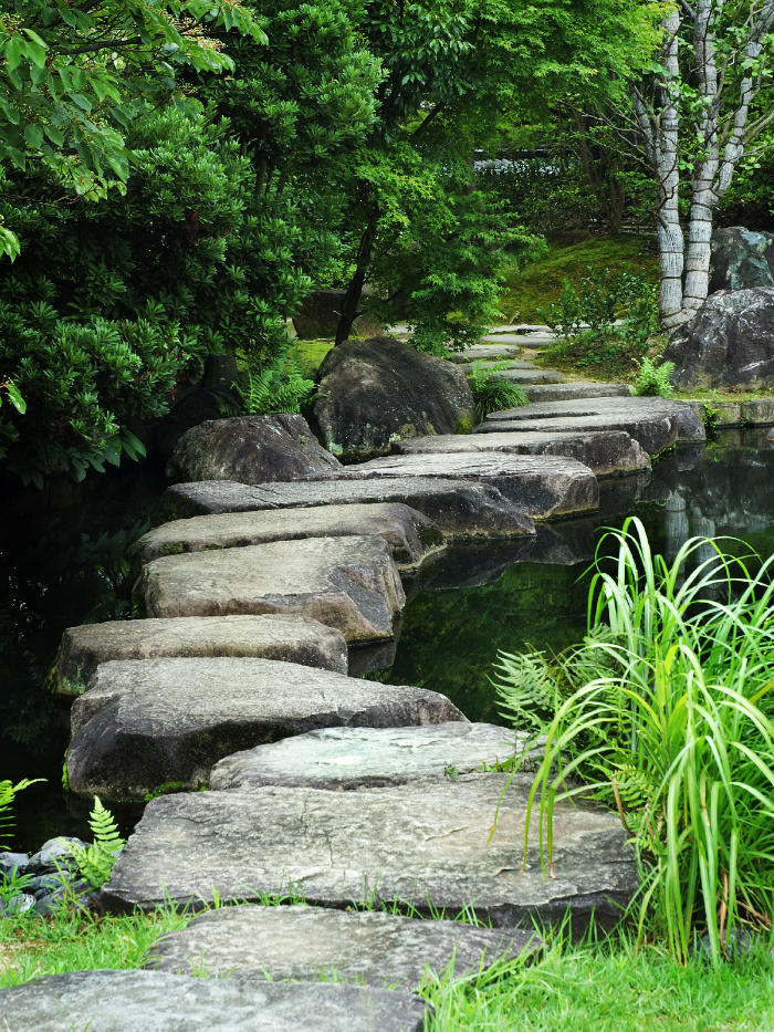 jade bear healing arts shiatsu practioner eugene oregon